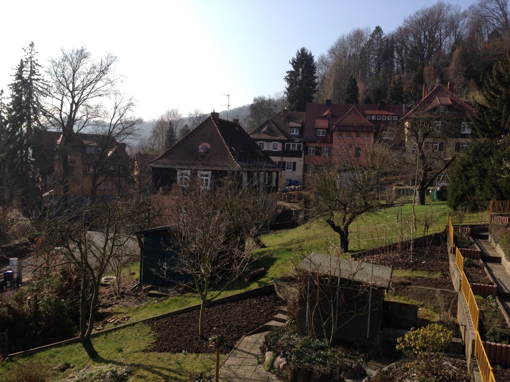 Ein Rundblick auf der Gartenseite.