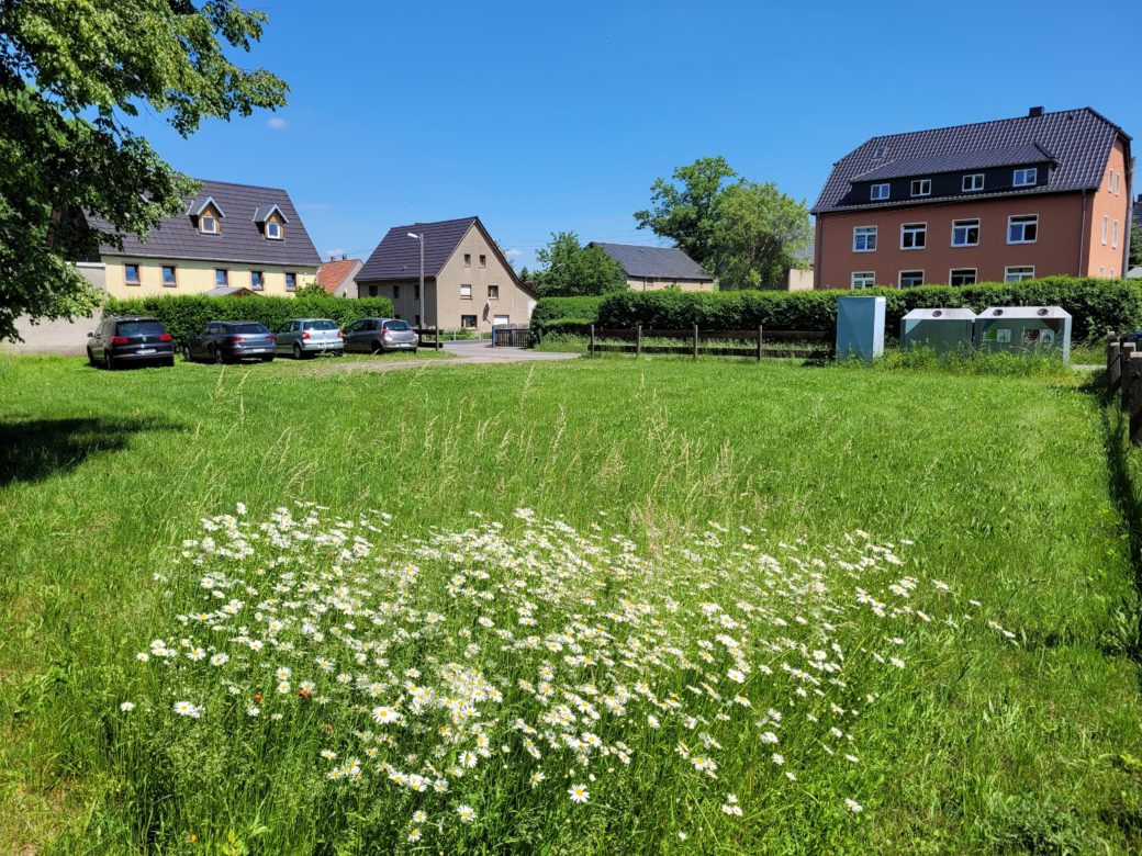 4. Blick über das Grundstück Richtung Osten