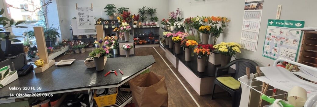 Gewerbefläche Vermietung