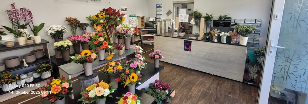 Gewerbefläche Vermietung